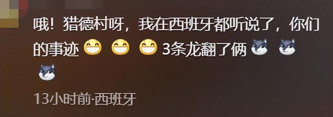 女婿混入其中对手村子爆笑要记入族谱j9国际站猎德龙舟侧翻后续：传因洋(图5)